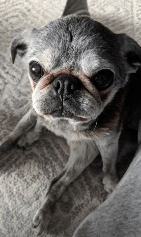 Screen-shot-2020-01-22-at-7.13.25-pm