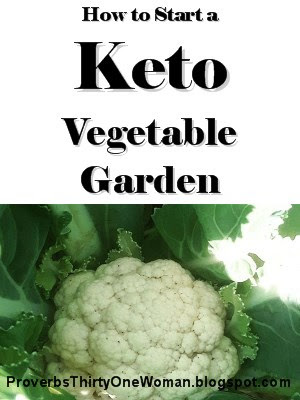 how to have a winter vegetable garden
