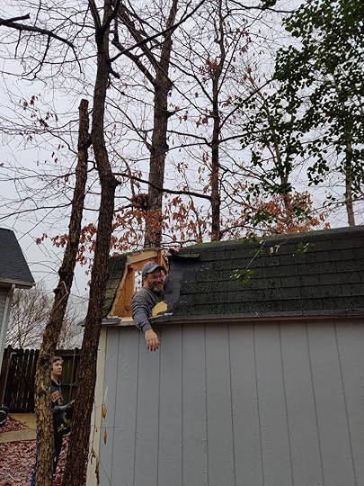 Handy man, Eric tearing down the old shed.