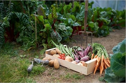 Image may contain: plant