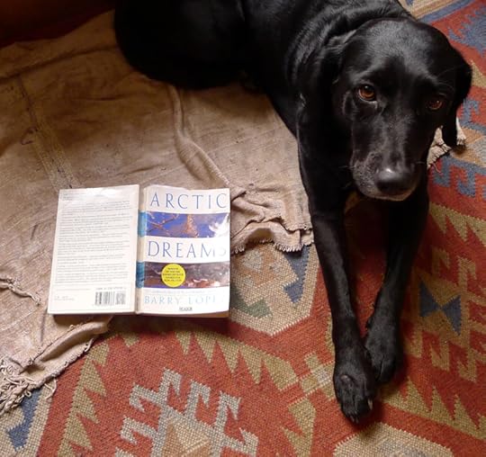 Arctic Dreams by Barry Lopez