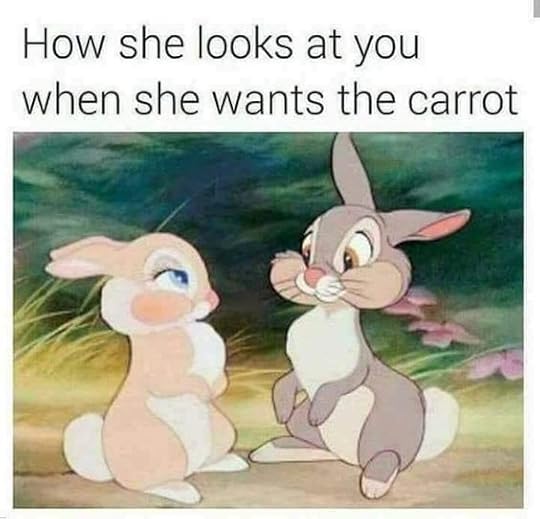 24 Extra Savage Memes That'll Crack You Up - Ouch Gallery