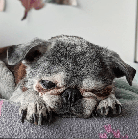 Screen-shot-2020-02-02-at-11.32.36-am