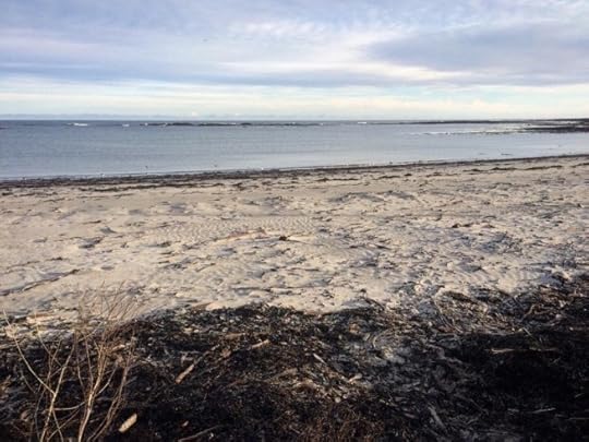 silvery sands of Rosehearty | Ailish Sinclair beach