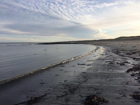 Rosehearty beach