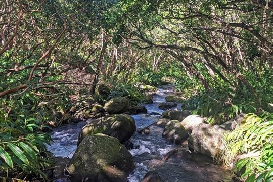 Kalalau Stream