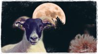 March Monthly Horoscopes