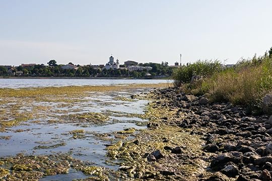 Lake full of seaweed