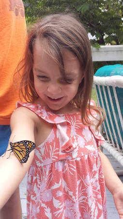 Launching Butterflies!