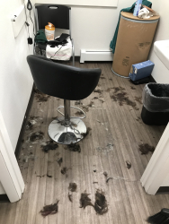 O302MeqtQI6xzZfwV4Vmjg