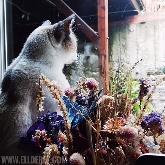 cat-flowers-ellderet-writing-mascot.jpeg
