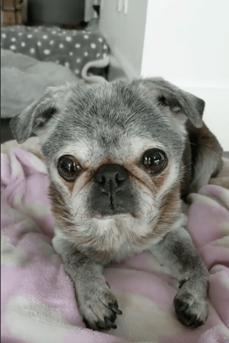 Screen-shot-2020-02-09-at-9.49.27-am