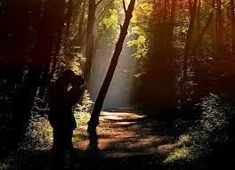 young couple kissing in the forest sunbeam - Google Search