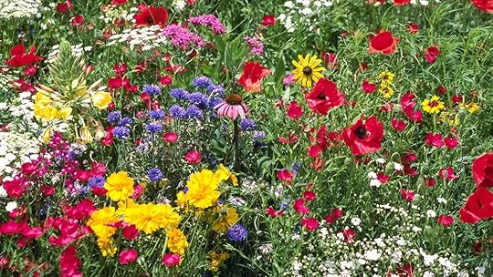 Image result for garden of wildflowers