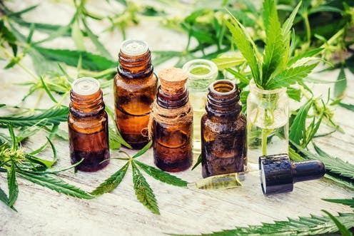cbd oil
