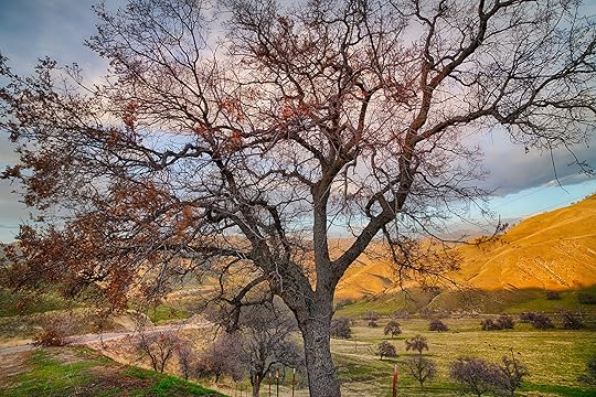 Near Tehachapi © Harold Davis