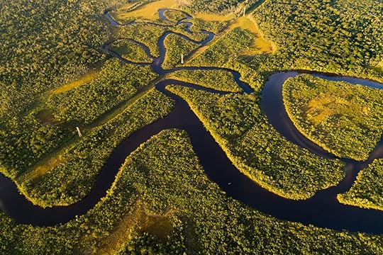 Amazon Rainforest in Brazil