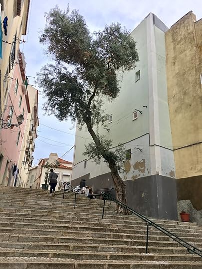 Portugal scenery
