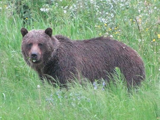 Image may contain: outdoor and nature