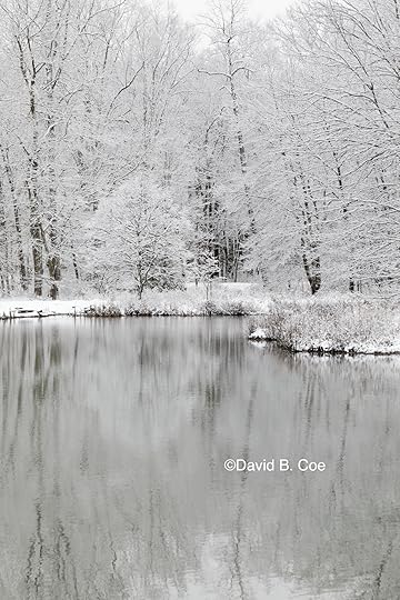 Pond in Snow I, by David B. Coe
