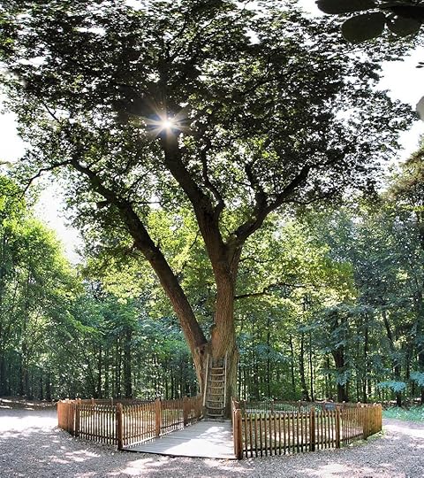 the love tree