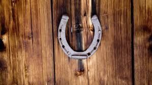 horseshoe on the door - Google Search