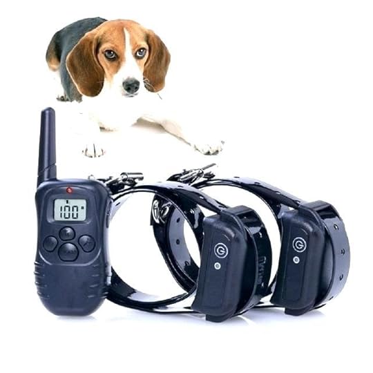 dog shock collar with remote petsmart 2 pet training electric waterproof collars