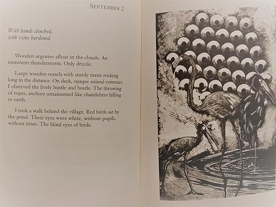 The blind eyes of birds