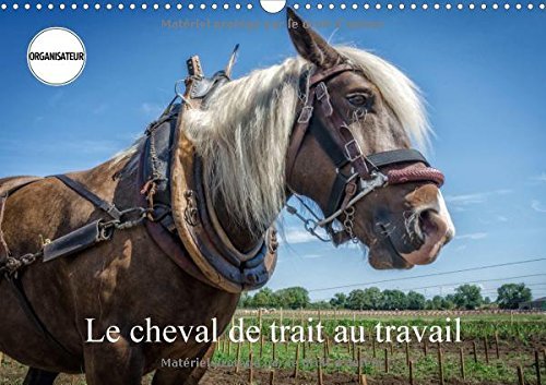 Le cheval de trait au travail : Exemples d'utilisation du cheval de trait. Calendrier mural A3 horizontal