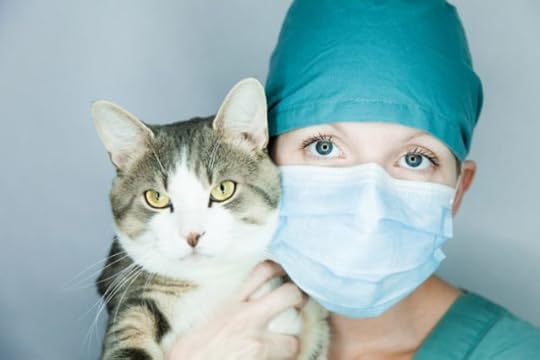 corona-virus-cat
