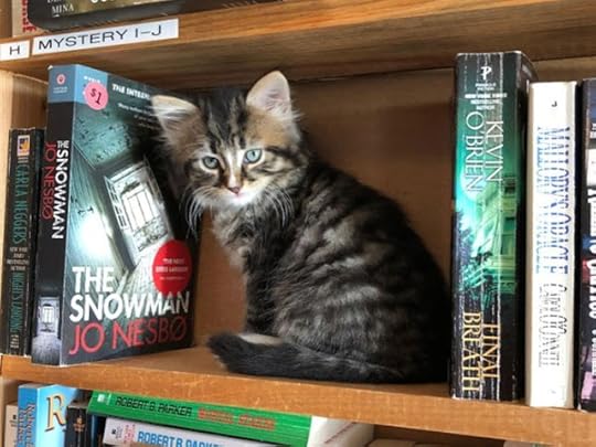 otis-clementines-books-coffee-cats