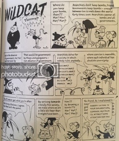  photo wildcat but better_zpsnehqrkhw.jpg