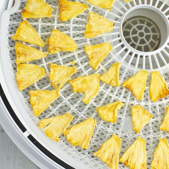 dehydrated pineapple pieces on the tray of a food dehydrator
