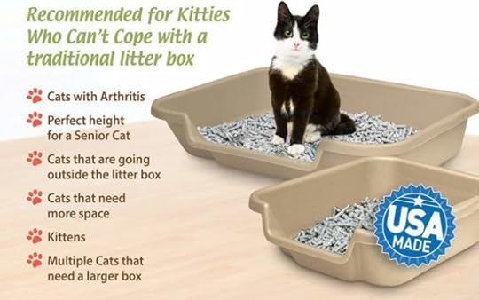 senior-cat-litter-box