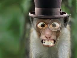 demon converter monkey makes life hell for author Ed Mitchell