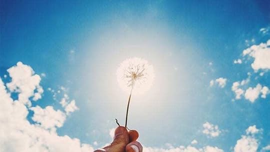dandelion fluff in the sky