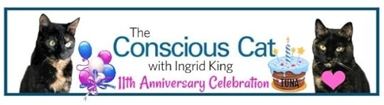 11-anniversary-conscious-cat