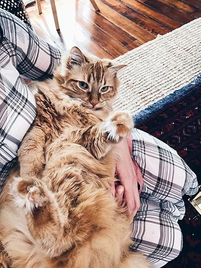 Let It Be Sunday, 260!