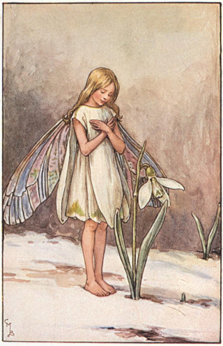 The Snowdrop Fairy by Cicely Barker
