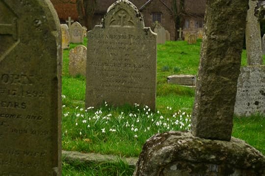 Snowdrops and gravestones