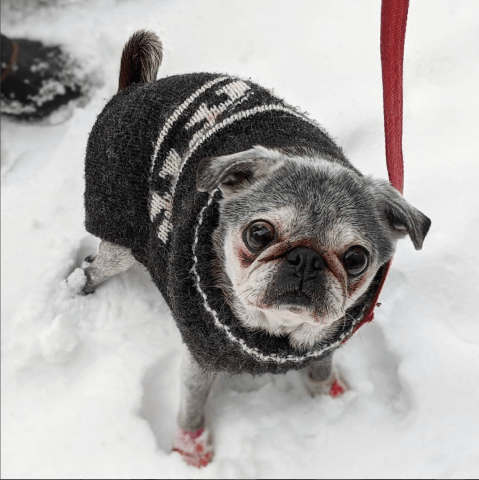 Screen-shot-2020-02-29-at-8.57.08-pm