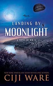 Landing by Moonlight