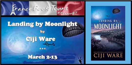 Landing by Moonlight - Banner