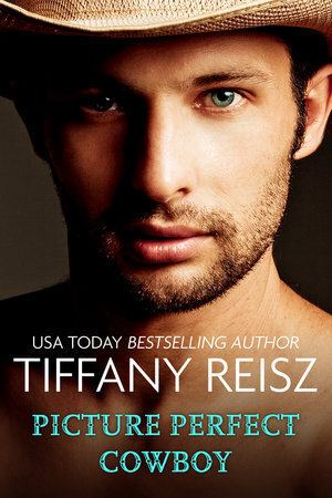 pictureperfect_ebook_cover1.jpg