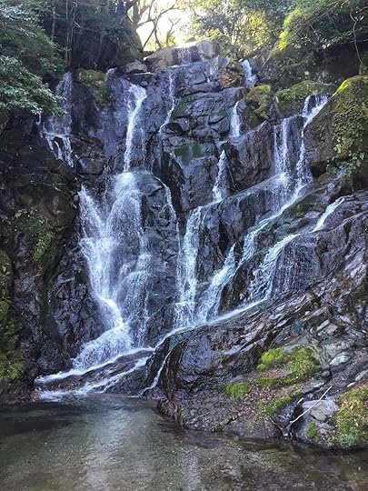 JPEG image-81E7E771C279-1.jpeg