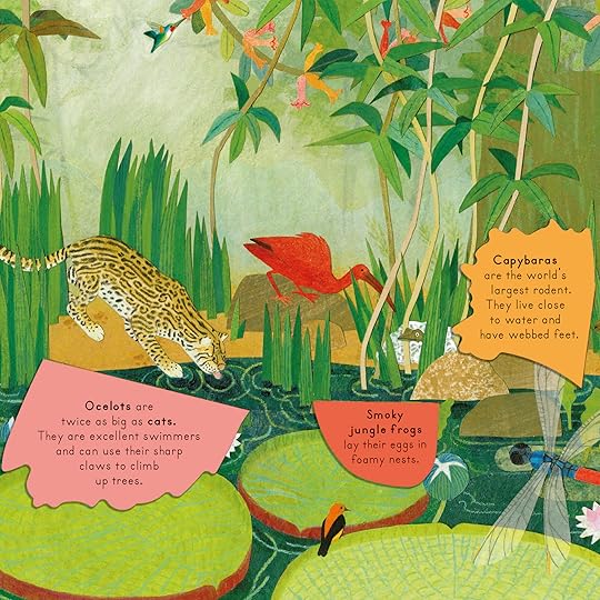 JUNGLE