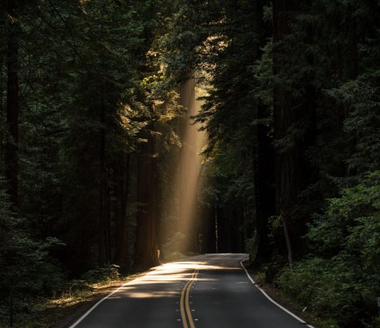 volg je eigen weg - Irene van Gent, Photo by JOHN TOWNER on Unsplash