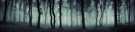 Image result for dark woods panorama