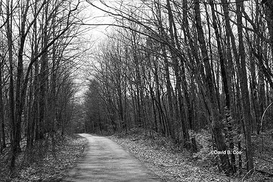 A Winter's Walk, by David B. Coe