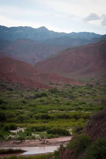 De la Salta la Cafayate, Argentina